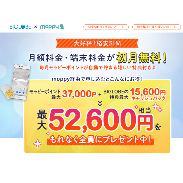 １年後のmnp弾が無料で作れるbiglobeモバイルがアツい １年間３ｇｂも使えてもちろんそのまま解約でも十分利益に リーマンのmnp道場